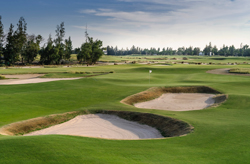 Ballyshear Links